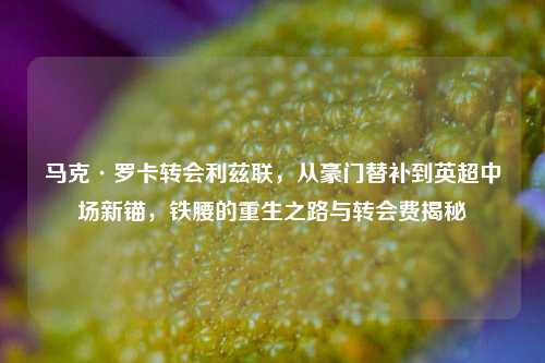 马克·罗卡转会利兹联,从豪门替补到英超中场新锚,铁腰的重生之路与转会费揭秘