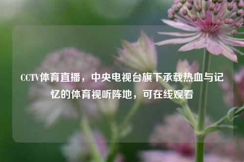 CCTV体育直播,中央电视台旗下承载热血与记忆的体育视听阵地,可在线观看