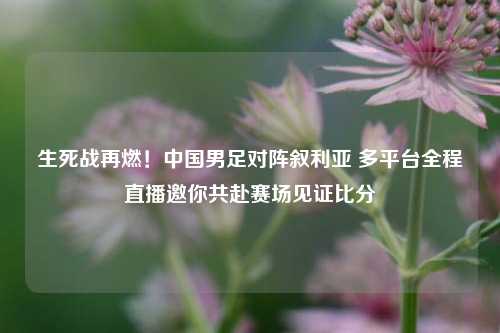 生死战再燃!中国男足对阵叙利亚 多平台全程直播邀你共赴赛场见证比分