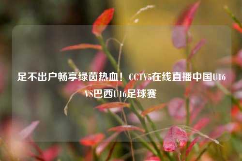 足不出户畅享绿茵热血!CCTV5在线直播中国U16VS巴西U16足球赛