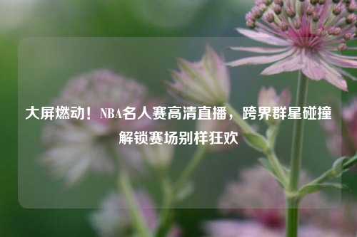 大屏燃动!NBA名人赛高清直播,跨界群星碰撞解锁赛场别样狂欢