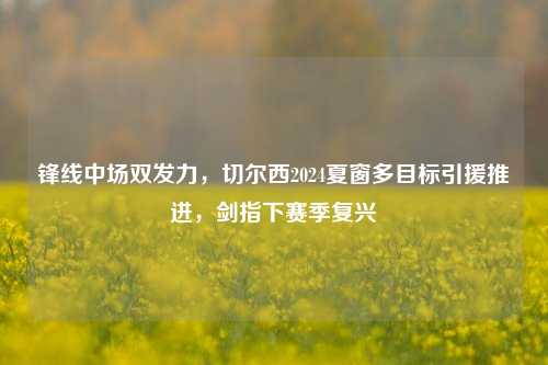 锋线中场双发力,切尔西2024夏窗多目标引援推进,剑指下赛季复兴