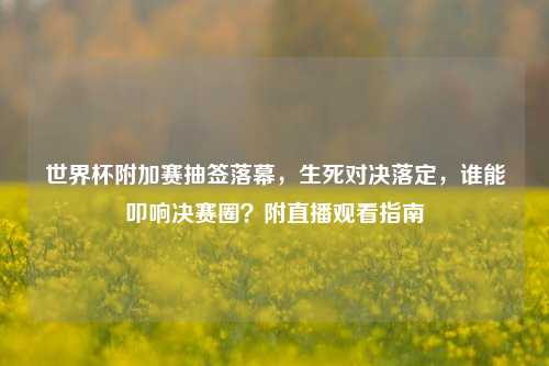 世界杯附加赛抽签落幕,生死对决落定,谁能叩响决赛圈?附直播观看指南