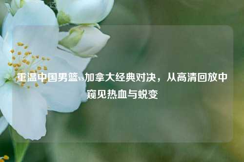 重温中国男篮vs加拿大经典对决,从高清回放中窥见热血与蜕变
