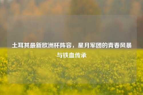 土耳其最新欧洲杯阵容,星月军团的青春风暴与铁血传承