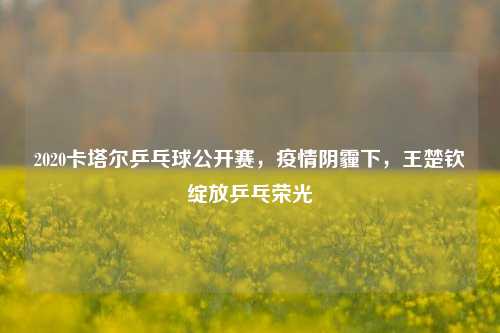 2020卡塔尔乒乓球公开赛，疫情阴霾下，王楚钦绽放乒乓荣光