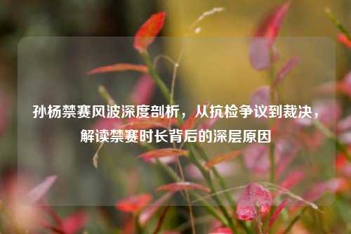 孙杨禁赛风波深度剖析,从抗检争议到裁决,解读禁赛时长背后的深层原因