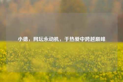 小德,网坛永动机,于热爱中跨越巅峰