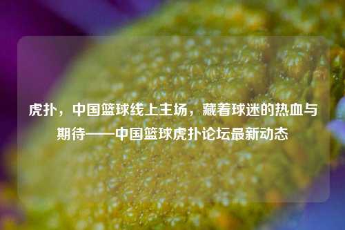 虎扑,中国篮球线上主场,藏着球迷的热血与期待——中国篮球虎扑论坛最新动态