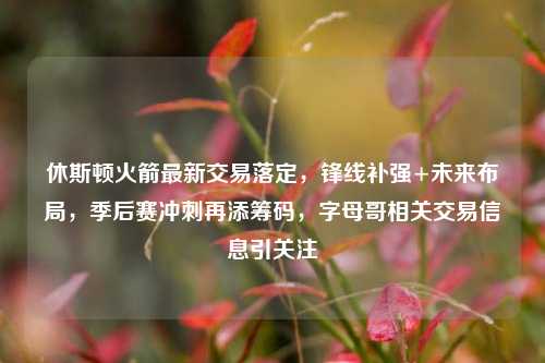 休斯顿火箭最新交易落定，锋线补强+未来布局，季后赛冲刺再添筹码，字母哥相关交易信息引关注