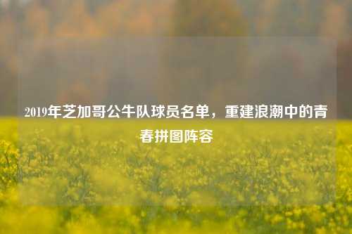2019年芝加哥公牛队球员名单，重建浪潮中的青春拼图阵容