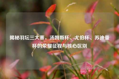 揭秘羽坛三大赛,汤姆斯杯、尤伯杯、苏迪曼杯的荣耀征程与核心区别