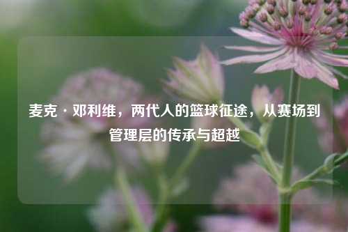 麦克·邓利维，两代人的篮球征途，从赛场到管理层的传承与超越