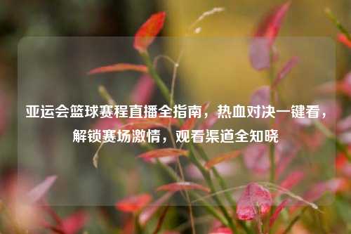 亚运会篮球赛程直播全指南，热血对决一键看，解锁赛场激情，观看渠道全知晓