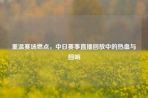重温赛场燃点,中日赛事直播回放中的热血与回响