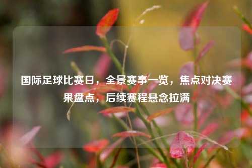国际足球比赛日，全景赛事一览，焦点对决赛果盘点，后续赛程悬念拉满