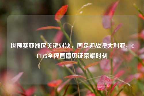 世预赛亚洲区关键对决,国足迎战澳大利亚,CCTV5全程直播见证荣耀时刻