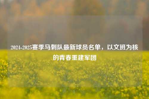 2024-2025赛季马刺队最新球员名单,以文班为核的青春重建军团