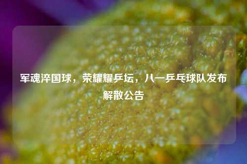 军魂淬国球,荣耀耀乒坛,八一乒乓球队发布解散公告