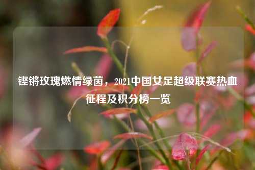 铿锵玫瑰燃情绿茵,2021中国女足超级联赛热血征程及积分榜一览