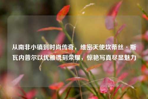 从南非小镇到时尚传奇,维密天使坎蒂丝·斯瓦内普尔以优雅镌刻荣耀,惊艳写真尽显魅力