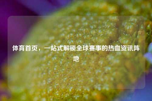 体育首页,一站式解锁全球赛事的热血资讯阵地