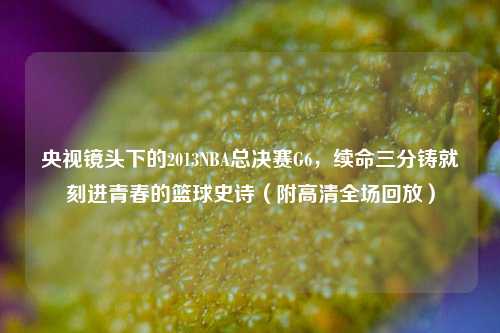 央视镜头下的2013NBA总决赛G6，续命三分铸就刻进青春的篮球史诗（附高清全场回放）