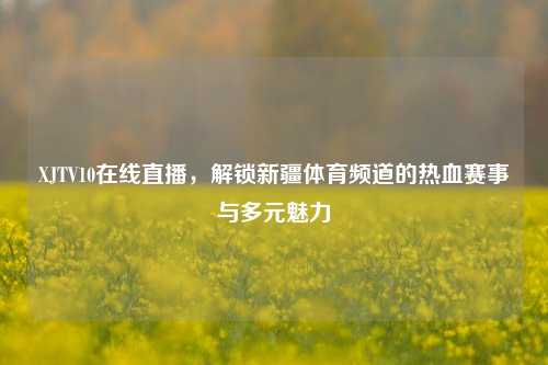 XJTV10在线直播，解锁新疆体育频道的热血赛事与多元魅力