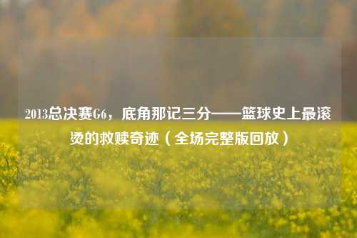 2013总决赛G6，底角那记三分——篮球史上最滚烫的救赎奇迹（全场完整版回放）