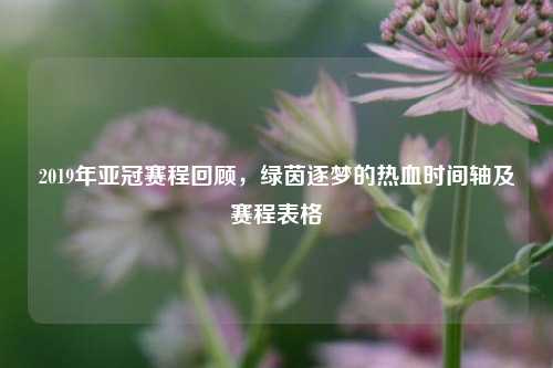 2019年亚冠赛程回顾，绿茵逐梦的热血时间轴及赛程表格