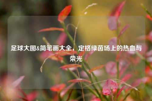 足球大图&简笔画大全,定格绿茵场上的热血与荣光