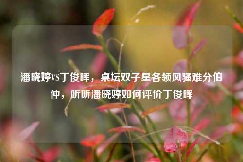 潘晓婷VS丁俊晖,桌坛双子星各领风骚难分伯仲,听听潘晓婷如何评价丁俊晖