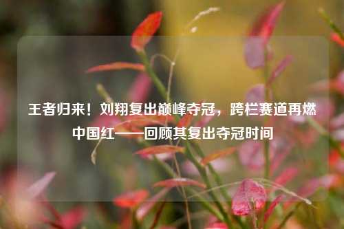 王者归来!刘翔复出巅峰夺冠,跨栏赛道再燃中国红——回顾其复出夺冠时间