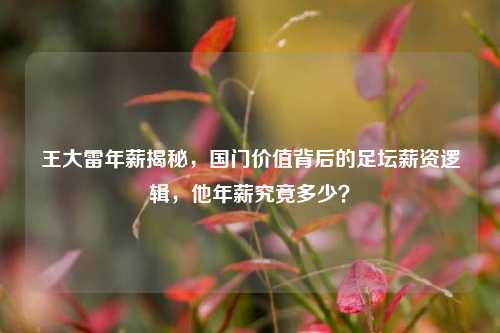 王大雷年薪揭秘，国门价值背后的足坛薪资逻辑，他年薪究竟多少？