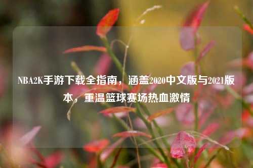 NBA2K手游下载全指南,涵盖2020中文版与2021版本,重温篮球赛场热血激情