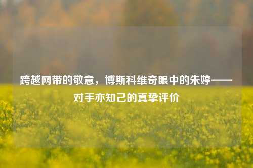 跨越网带的敬意,博斯科维奇眼中的朱婷——对手亦知己的真挚评价