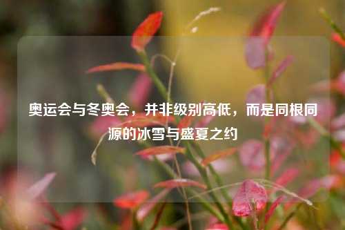 奥运会与冬奥会,并非级别高低,而是同根同源的冰雪与盛夏之约