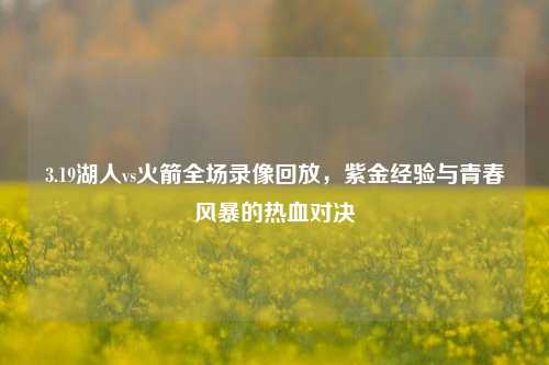 3.19湖人vs火箭全场录像回放，紫金经验与青春风暴的热血对决