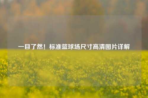 一目了然！标准篮球场尺寸高清图片详解