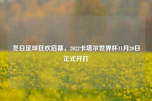 冬日足球狂欢启幕,2022卡塔尔世界杯11月20日正式开打