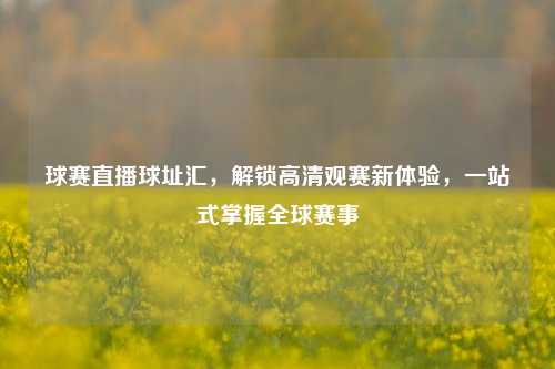 球赛直播球址汇,解锁高清观赛新体验,一站式掌握全球赛事