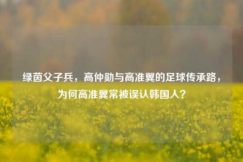 绿茵父子兵,高仲勋与高准翼的足球传承路,为何高准翼常被误认韩国人?
