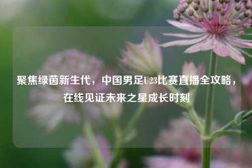 聚焦绿茵新生代，中国男足U23比赛直播全攻略，在线见证未来之星成长时刻