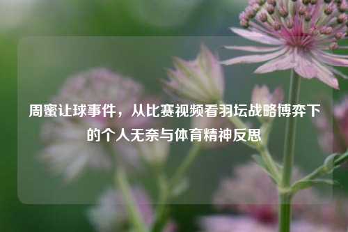 周蜜让球事件,从比赛视频看羽坛战略博弈下的个人无奈与体育精神反思