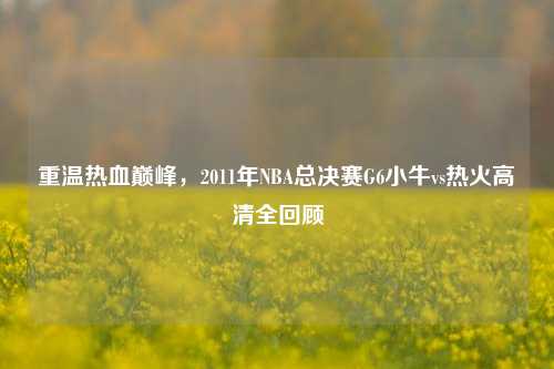 重温热血巅峰，2011年NBA总决赛G6小牛vs热火高清全回顾