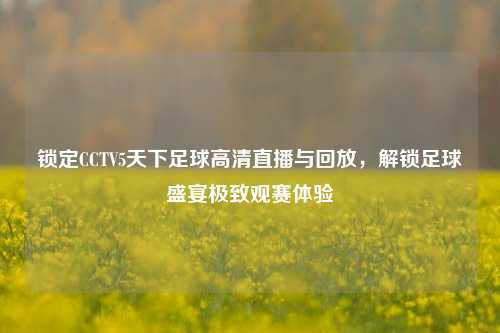 锁定CCTV5天下足球高清直播与回放,解锁足球盛宴极致观赛体验