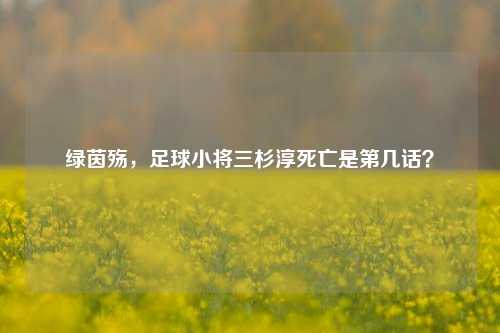 绿茵殇，足球小将三杉淳死亡是第几话？
