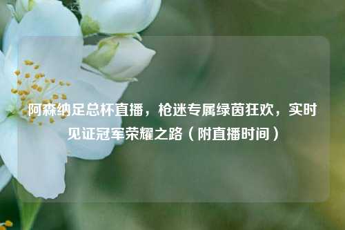 阿森纳足总杯直播,枪迷专属绿茵狂欢,实时见证冠军荣耀之路(附直播时间)
