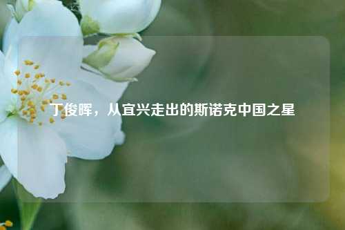 丁俊晖,从宜兴走出的斯诺克中国之星