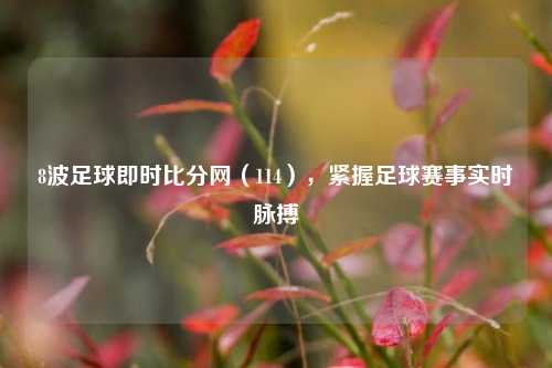 8波足球即时比分网(114),紧握足球赛事实时脉搏